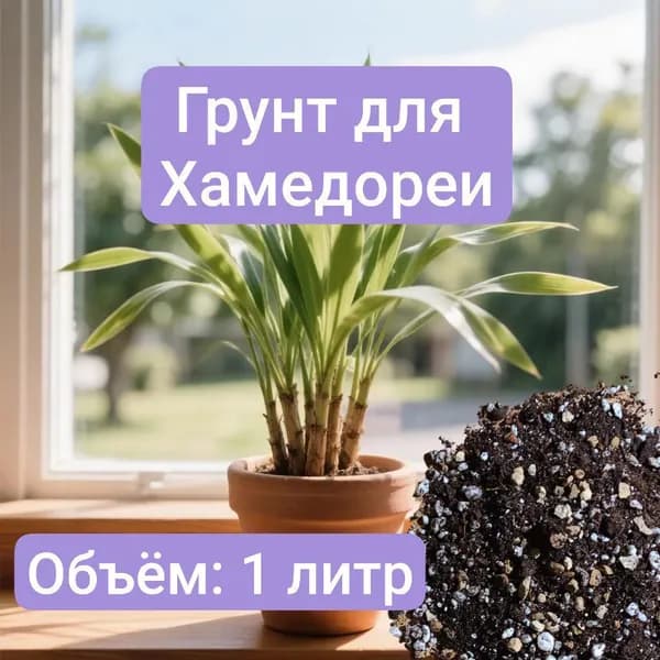Авторский грунт для пальмы Хамедореи, 1 литр