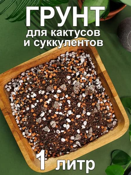 Грунт для суккулентов и кактусов 1литр 200 гр Грунт Руслана