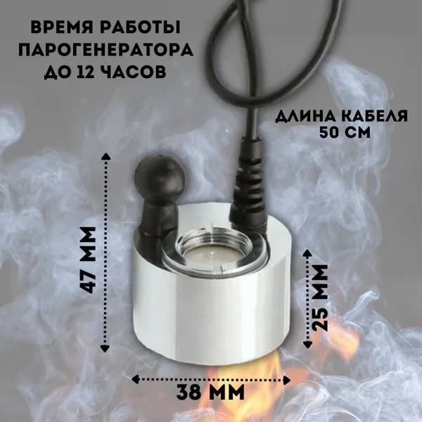 Парогенератор для бани