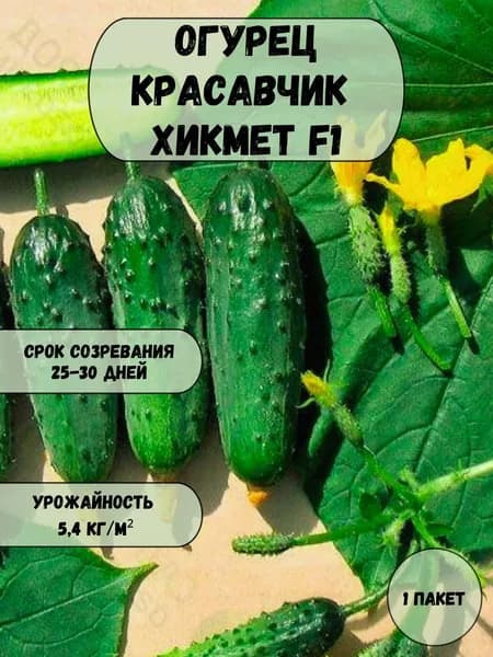 Огурец Красавчик Хикмет F1 семена 10 шт