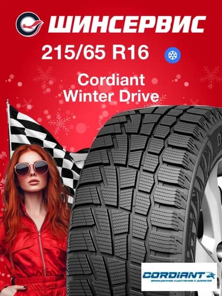 Шины зимние 215 65 r16 102T Winter Drive