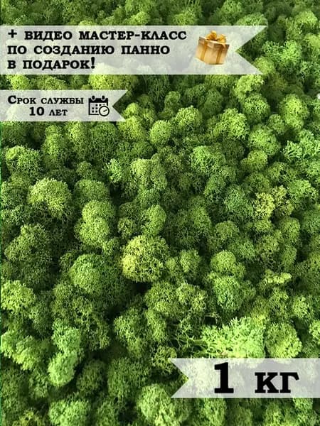 Мох для декора, дизайна и озеленения