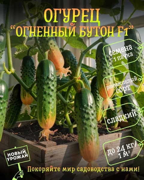 Огурец Огненный бутон F1, семена, 10 шт.