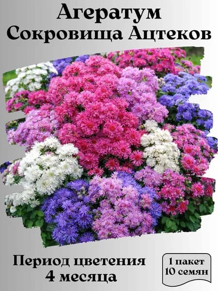 Агератум Сокровища Ацтеков, семена, 10 шт.