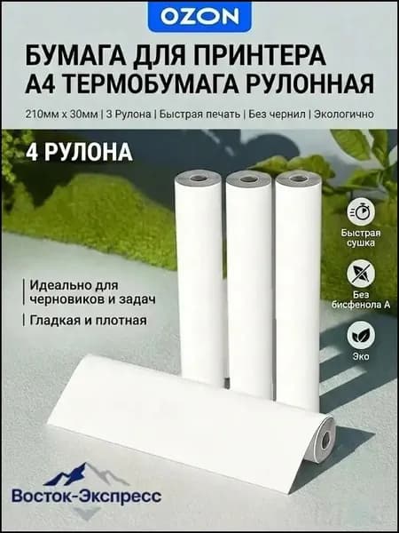 Бумага для принтера A4, 100 лист., шт