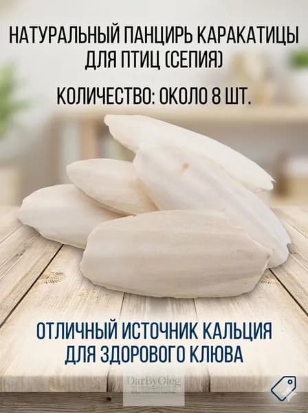 Сепия (каракатица) для птиц: природный источник кальция, минеральный камень