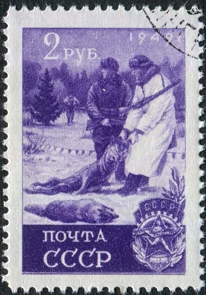 СССР 1949 г. Охота на волков. Почтовая марка. Гашение