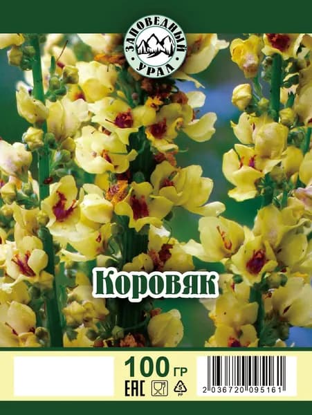 Коровяк трава