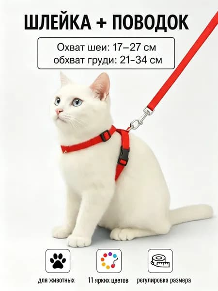 Шлейка
