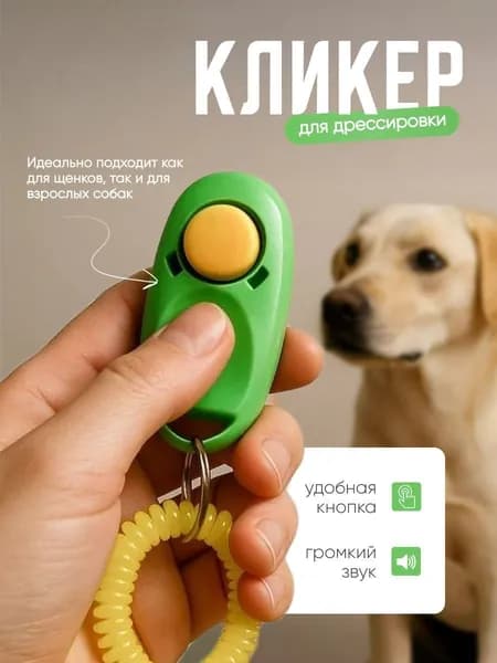 Кликер