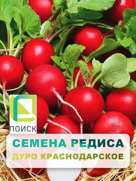 Семена Редис "Дуро Краснодарское", 3 гр, для дома, дачи и огорода, в открытый грунт, на подоконник, в контейнер.