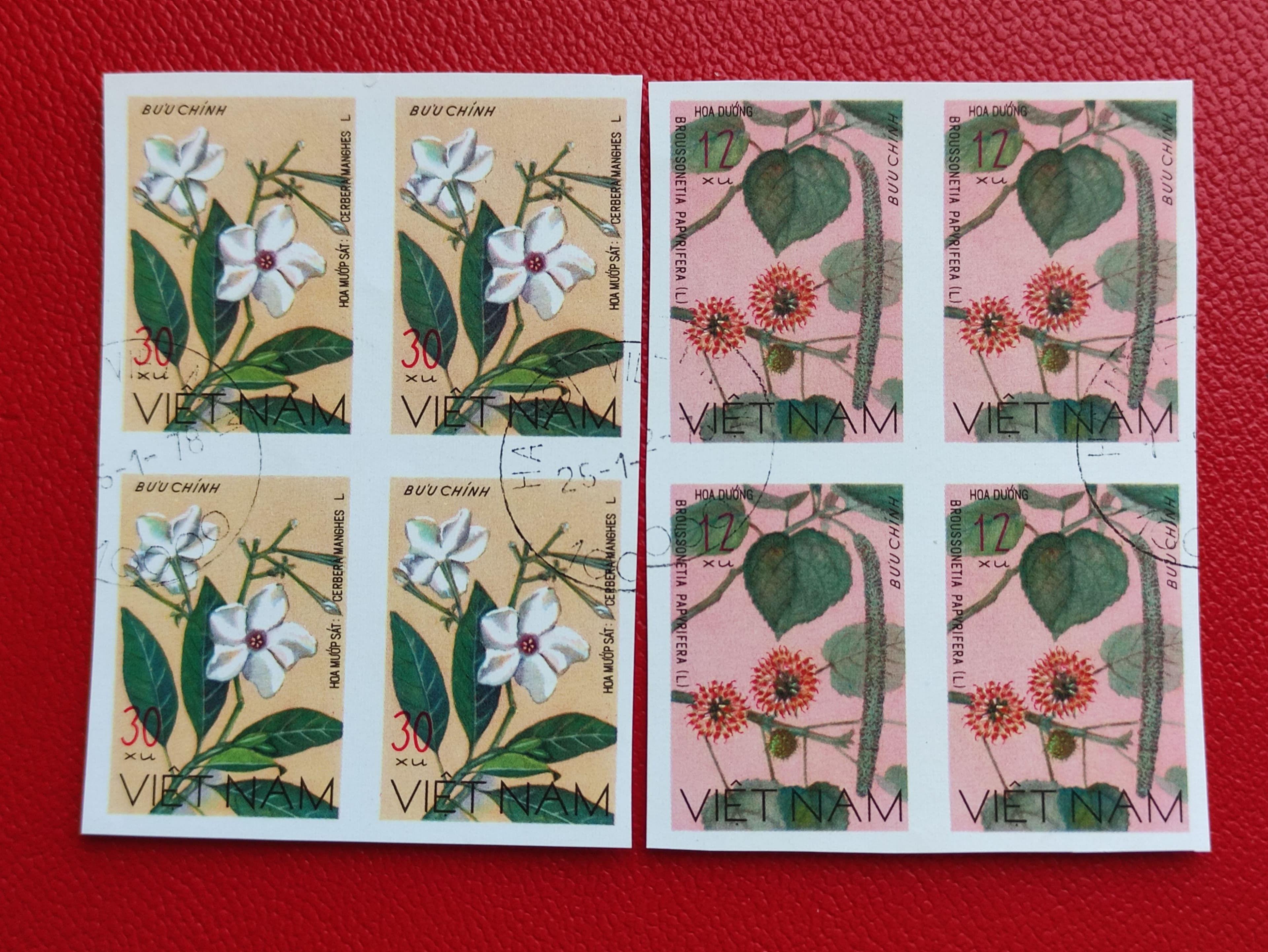 Марки Вьетнам 1976. Квартблоки цветы: "Aleurites montana и Broussonetia papyrifera". Гашение. См фото