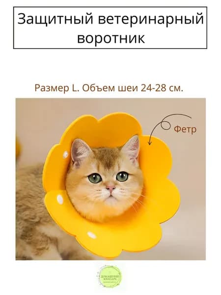 Защитный ветеринарный воротник для кошек и собак мелких пород L, оранжевый