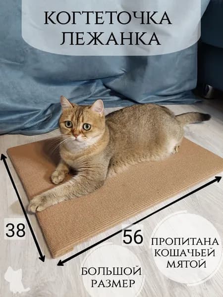 Когтеточка для кошек, лежанка напольная из ковролина с пропиткой, 56х38 см