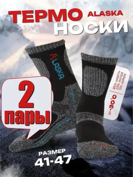 Носки мужские Мужской стиль, 2 пары