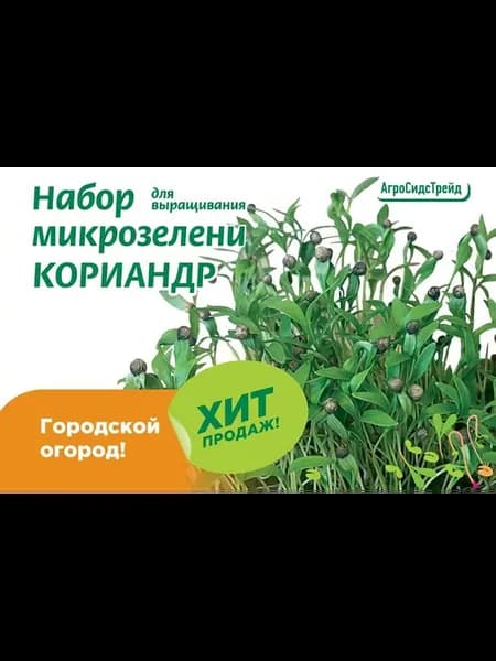 Набор для выращивания микрозелени КОРИАНДР 6 г