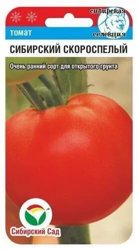 Томат Сибирский скороспелый