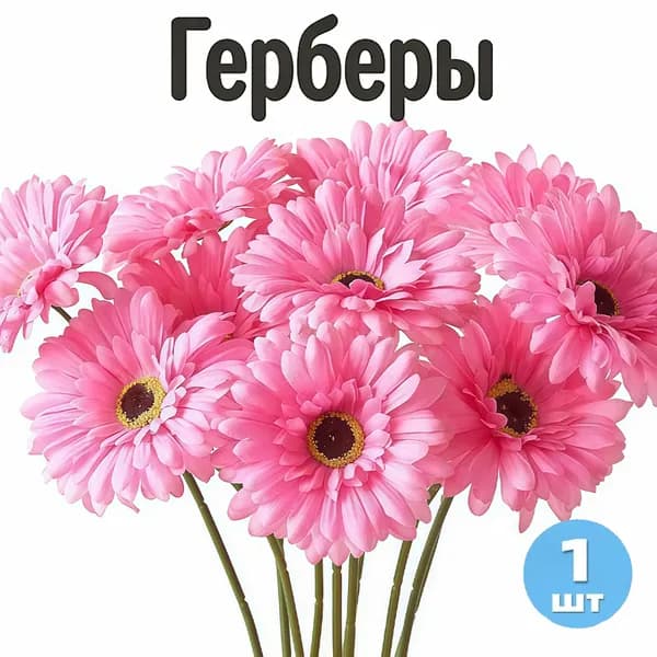 Стабилизированные цветы Гвоздика, Гербера, 13 гр, 1 шт
