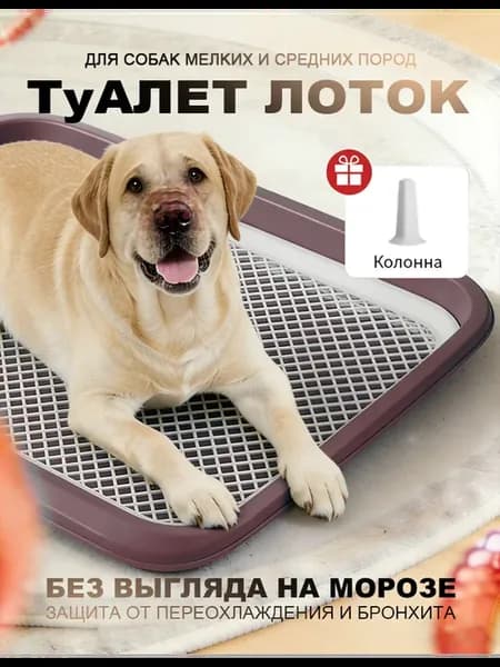 Туалет лоток для собак с сеткой под пеленку 64x49x6cm