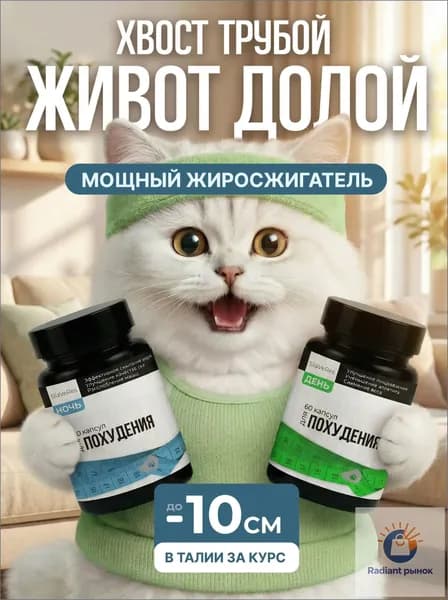 Жиросжигатель SilaVeRes для похудения для женщин и мужчин, капсулы день/ночь, 120 капсул. Комплексная пищевая добавка на основе растительных экстрактов с витаминами и минералами.