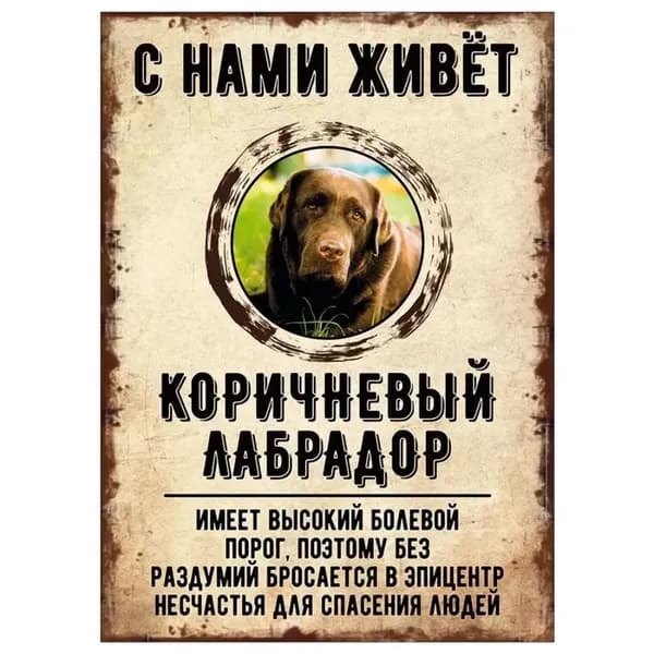 Табличка, декоративная, DANGER DOG, С нами живет Коричневый лабрадор, 20x30cm