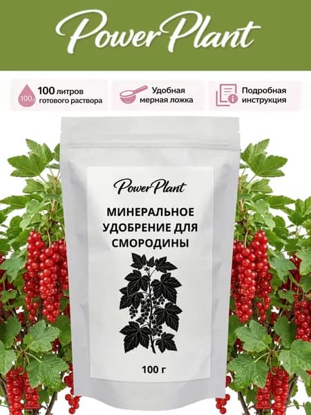 Удобрение для смородины весеннее, подкормка для смородины