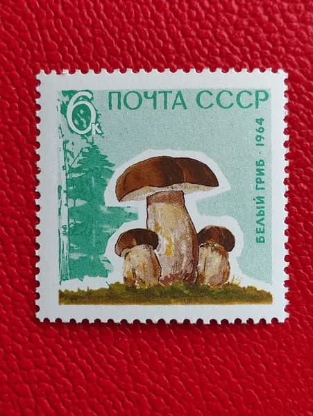 Марки СССР 1964. Белый Гриб. MNH - См фото