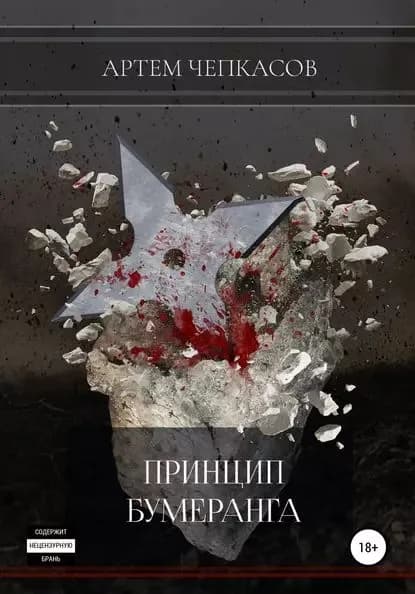 Принцип бумеранга | Чепкасов Артем Леонович | Электронная книга