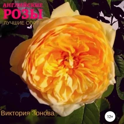 Английские розы. Лучшие сорта | Зонова Виктория | Электронная аудиокнига