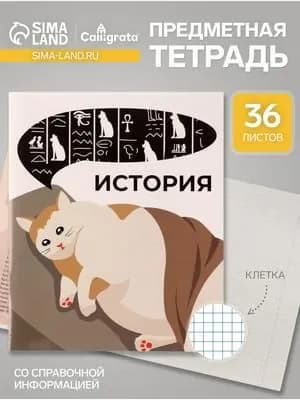 Предметная тетрадь по истории Calligrata Животные мемы , 36 листов, в клетку, со справочным материалом, обложка из мелованной бумаги