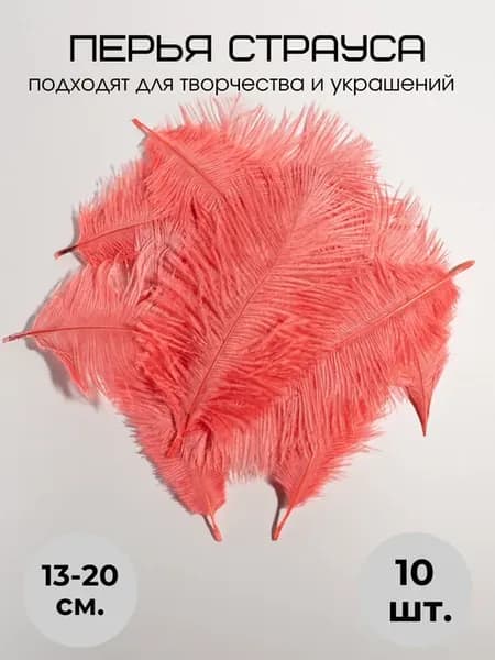 Страусиные перья страуса 10шт