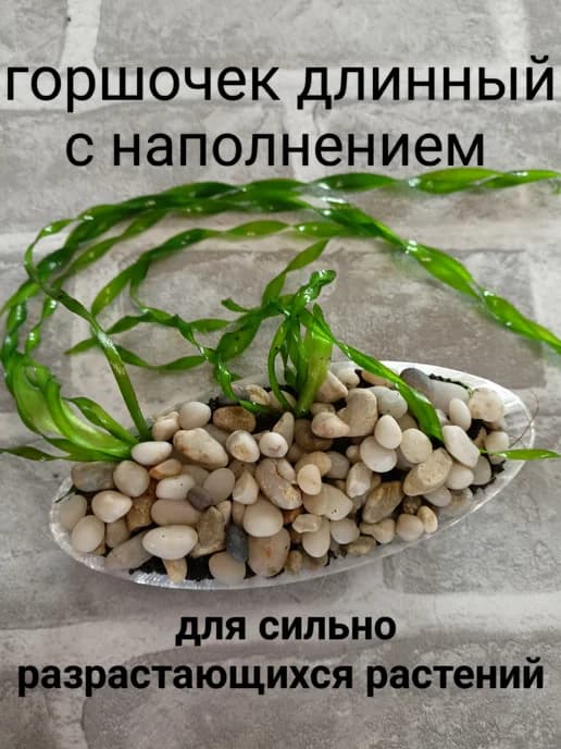 Горшочек аквариумный длинный для заднего плана, с грунтом