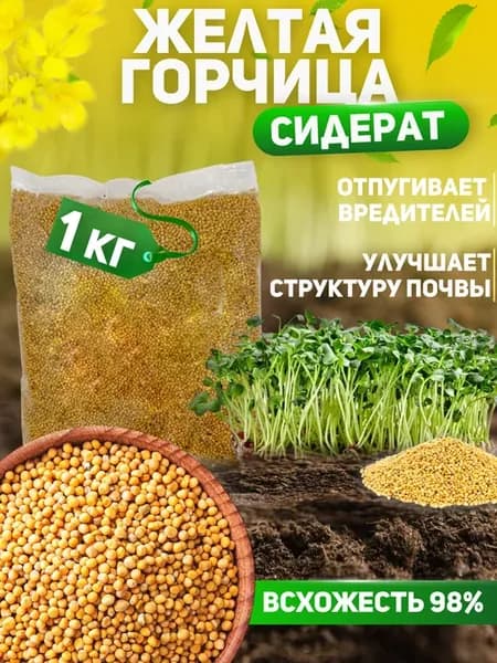 Горчица желтая семена сидерат для почвы и огорода 1 кг