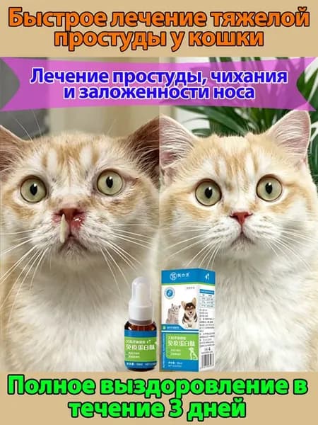 противовирусное лекарство для кошек