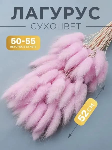 Сухоцветы 55 см 55 шт розовый