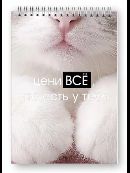 Блокнот для школы кот