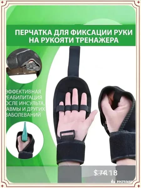 Параподиум