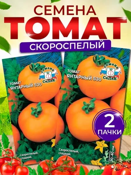 Семена томатов Янтарный без пасынкования низкорослый
