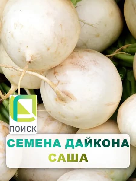 Семена Дайкон "Саша" 1 гр, для дома, дачи и огорода, овощи из семян, на грядку, в открытый грунт.
