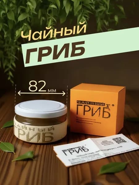 Чайный гриб живой для приготовления напитка Комбуча