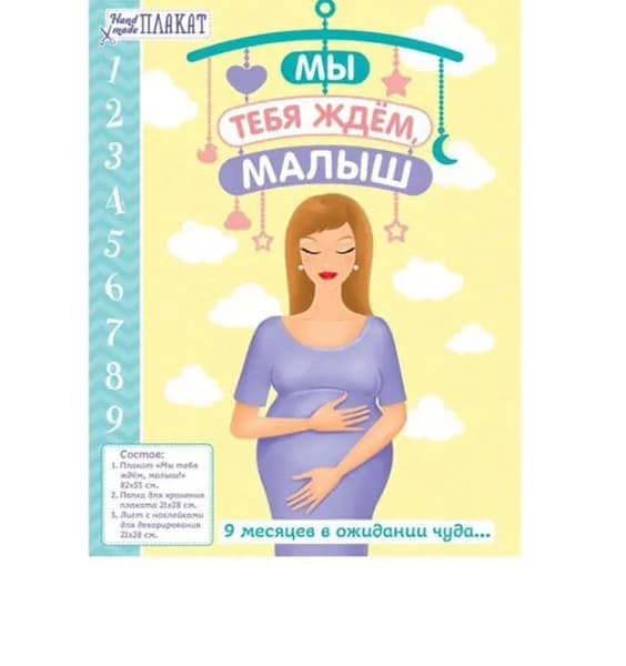 Плакат будущей мамочки в папке "Мы ждём тебя малыш" для вклейки фото и записей на каждый месяц + наклейки.