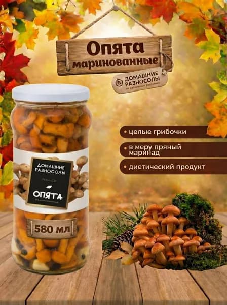 Опята маринованные, 580 мл., Домашние разносолы, Китай