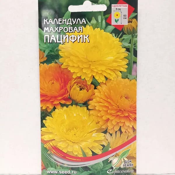 Календула Пацифик, 20 семян