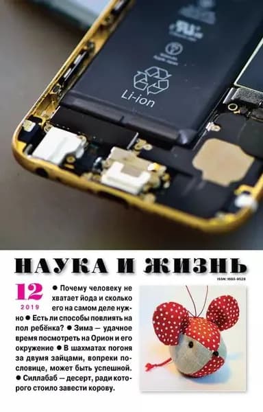 Наука и жизнь No12/2019 | Электронная книга