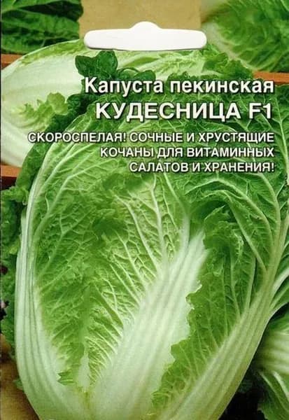 Коллекционные семена капусты пекинская Кудесница F1