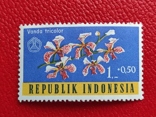 Марки Индонезия 1962. Орхидеи: "Ванда триколор/Vanda tricolor". MNH - См фото. РЕДКОСТЬ!