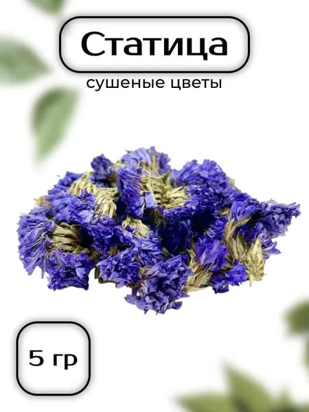 Статица сушеные цветы 5 гр - сухоцветы для свечей, творчества и ритуалов