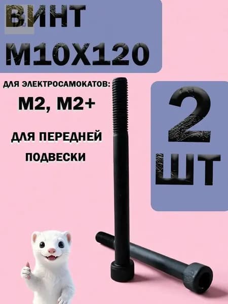 Винты (болты) вилки для электросамоката M2, класс прочности 12.9, М10х120, 2 шт