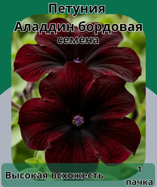 Петуния Аладдин Бордовая, семена 1пачка