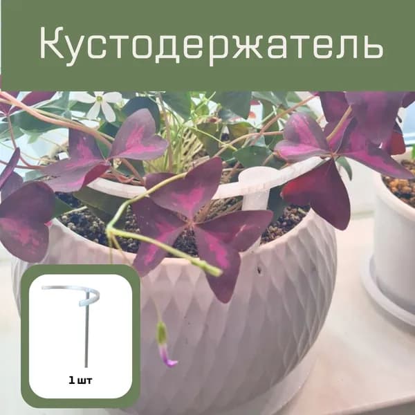Кустодержатель пластиковый, полупрозрачный, 15см диаметр